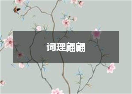 词理翩翩