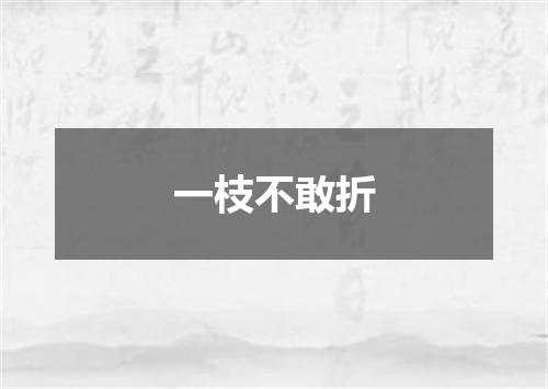 一枝不敢折