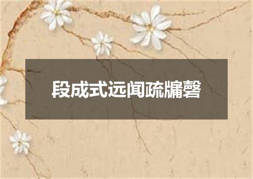 段成式远闻疏牖磬