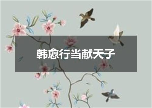 韩愈行当献天子