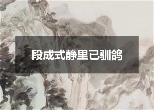 段成式静里已驯鸽