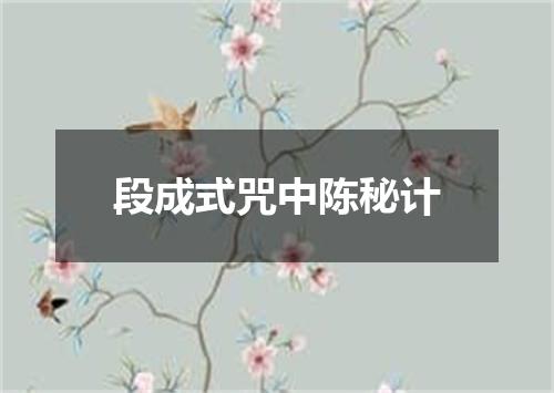 段成式咒中陈秘计