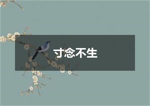 寸念不生
