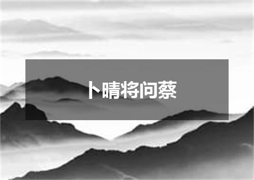 卜晴将问蔡