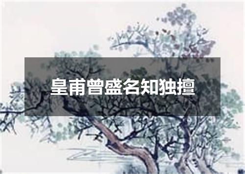 皇甫曾盛名知独擅