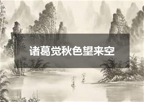 诸葛觉秋色望来空
