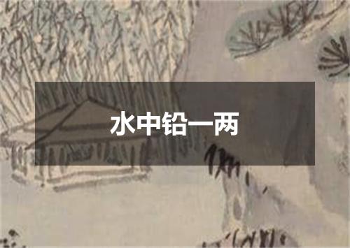水中铅一两