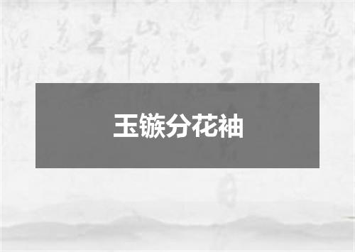 玉镞分花袖
