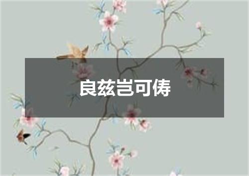 良兹岂可俦
