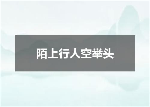 陌上行人空举头