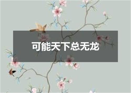可能天下总无龙