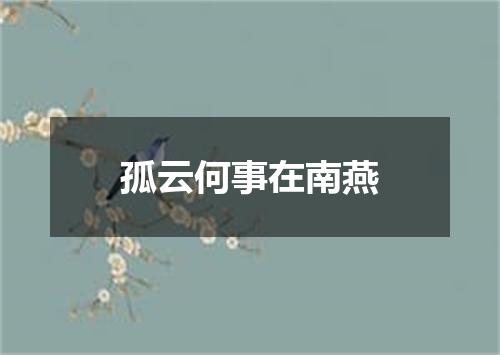 孤云何事在南燕