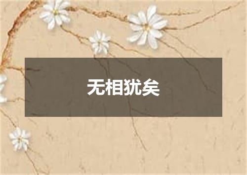 无相犹矣