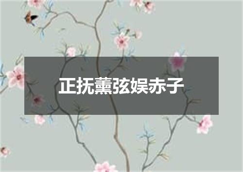 正抚薰弦娱赤子