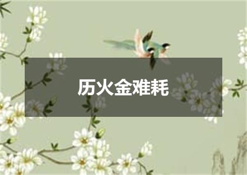 历火金难耗