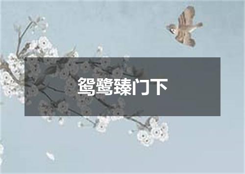 鸳鹭臻门下