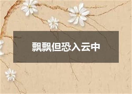 飘飘但恐入云中