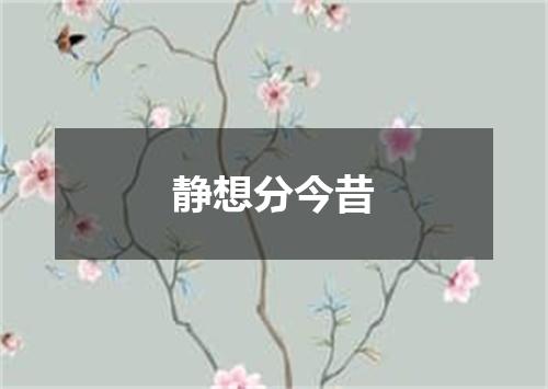 静想分今昔