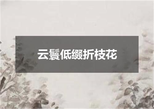 云鬟低缀折枝花
