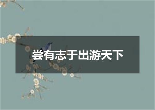 尝有志于出游天下