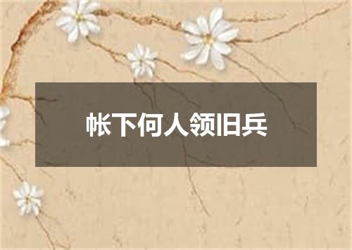帐下何人领旧兵