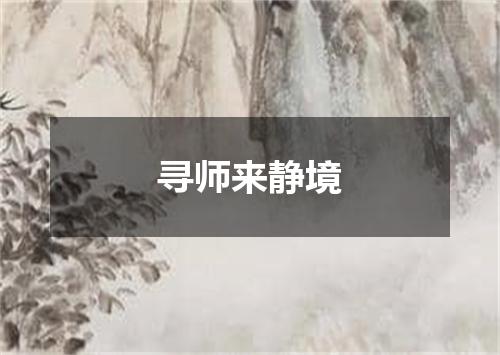 寻师来静境