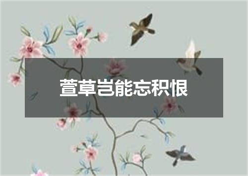 萱草岂能忘积恨