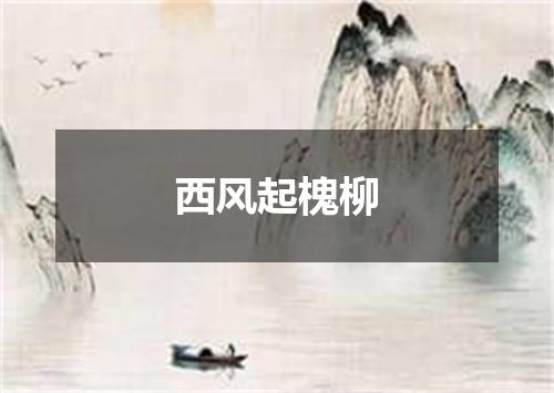 西风起槐柳