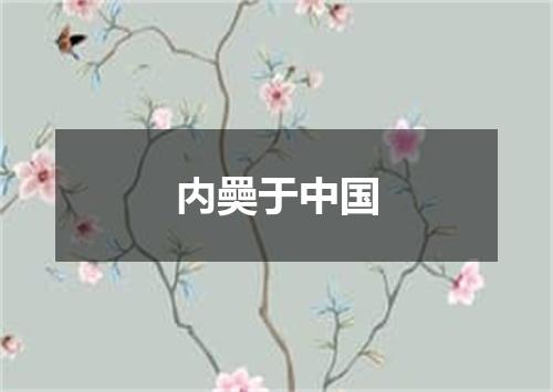 内奰于中国