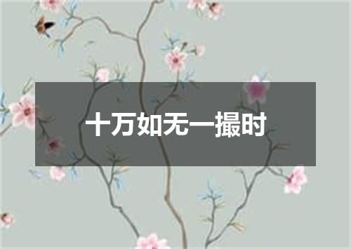十万如无一撮时