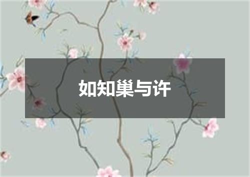 如知巢与许