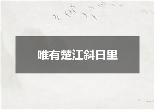 唯有楚江斜日里
