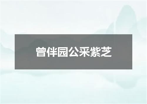 曾伴园公采紫芝