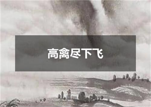 高禽尽下飞
