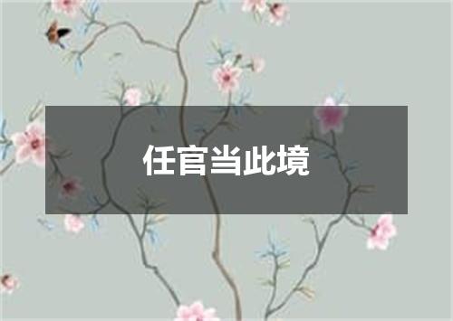 任官当此境