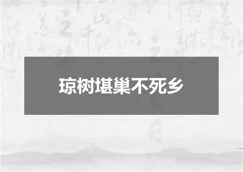 琼树堪巢不死乡