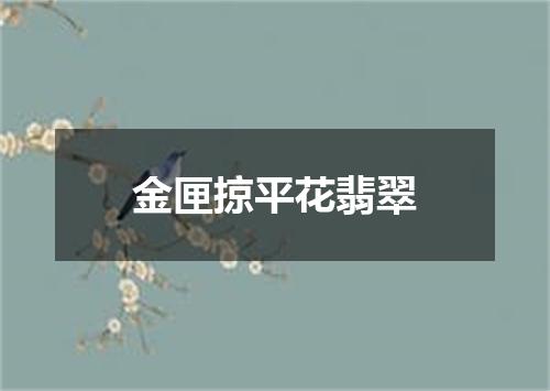 金匣掠平花翡翠