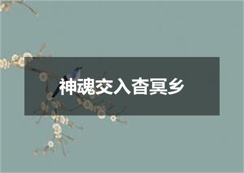 神魂交入杳冥乡