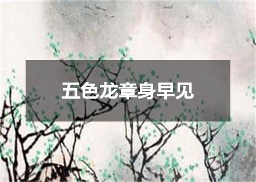 五色龙章身早见