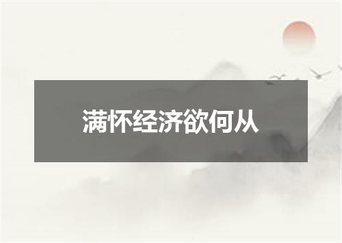 满怀经济欲何从
