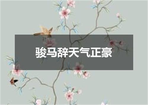 骏马辞天气正豪