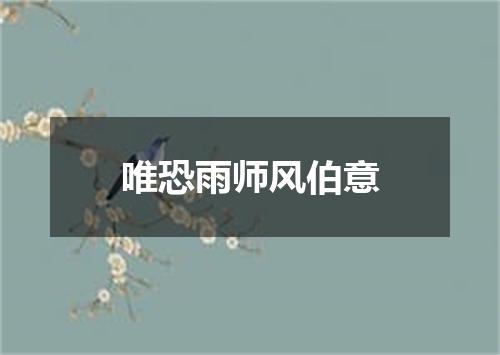 唯恐雨师风伯意