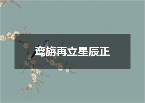 鸾旃再立星辰正