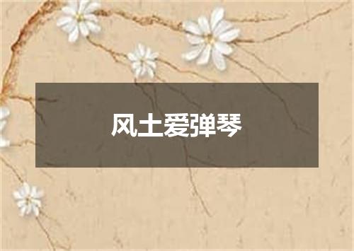 风土爱弹琴