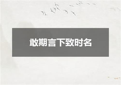 敢期言下致时名