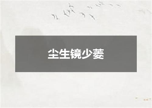 尘生镜少菱