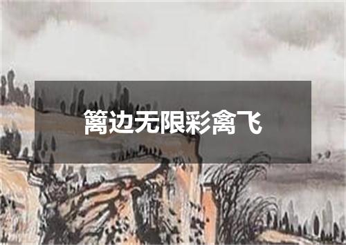 篱边无限彩禽飞