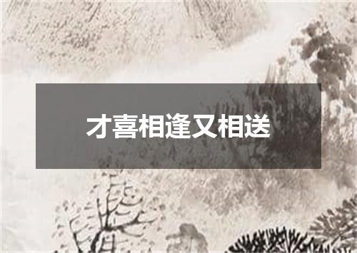 才喜相逢又相送