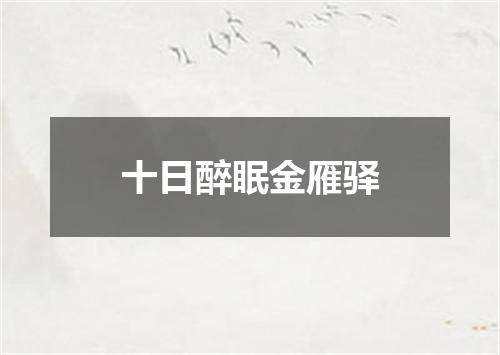 十日醉眠金雁驿
