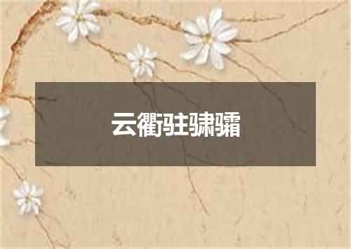 云衢驻骕骦